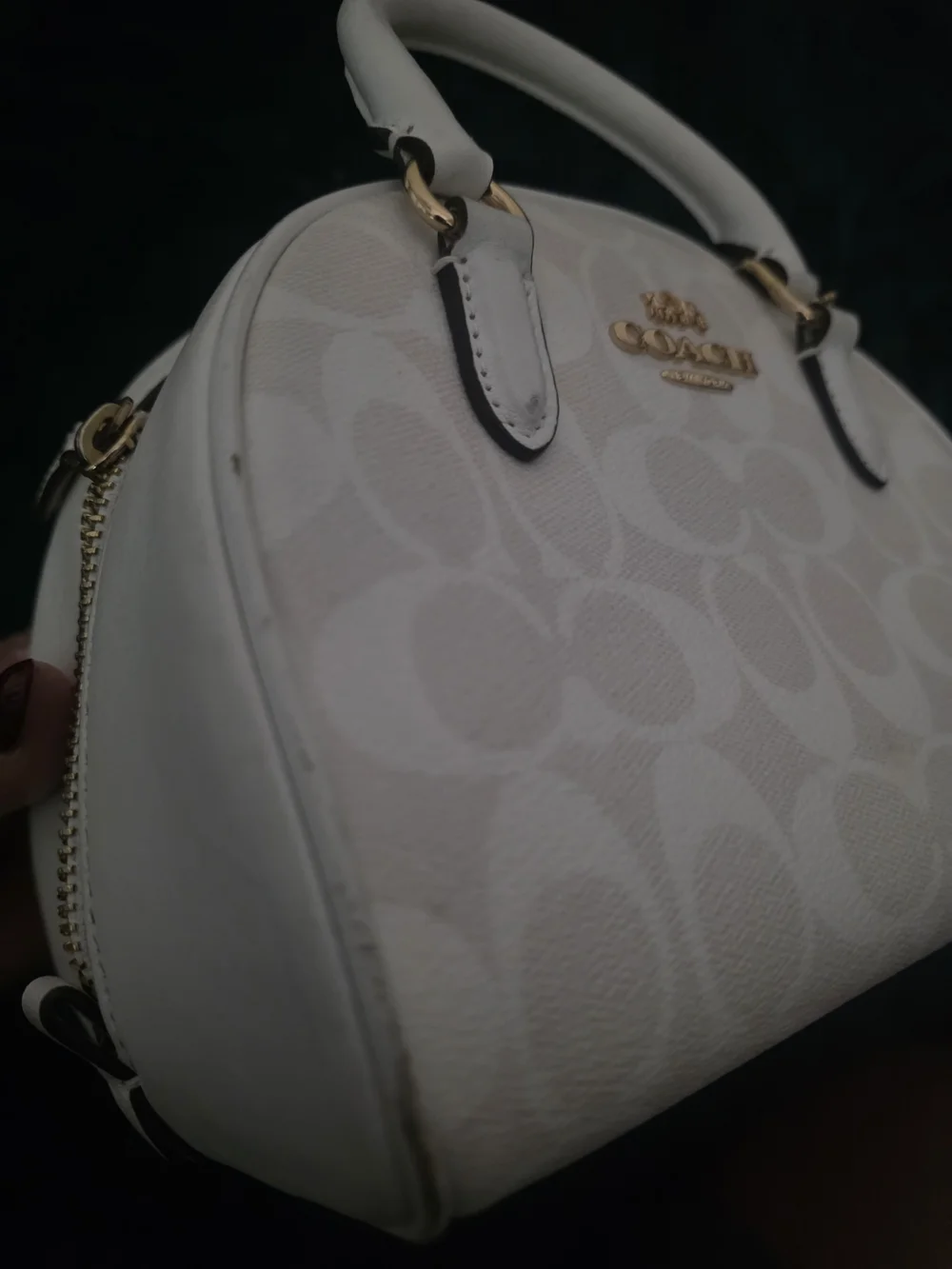 Coach Sydney Satchel Glaxier White Signature Dome Satchel Bag Purse